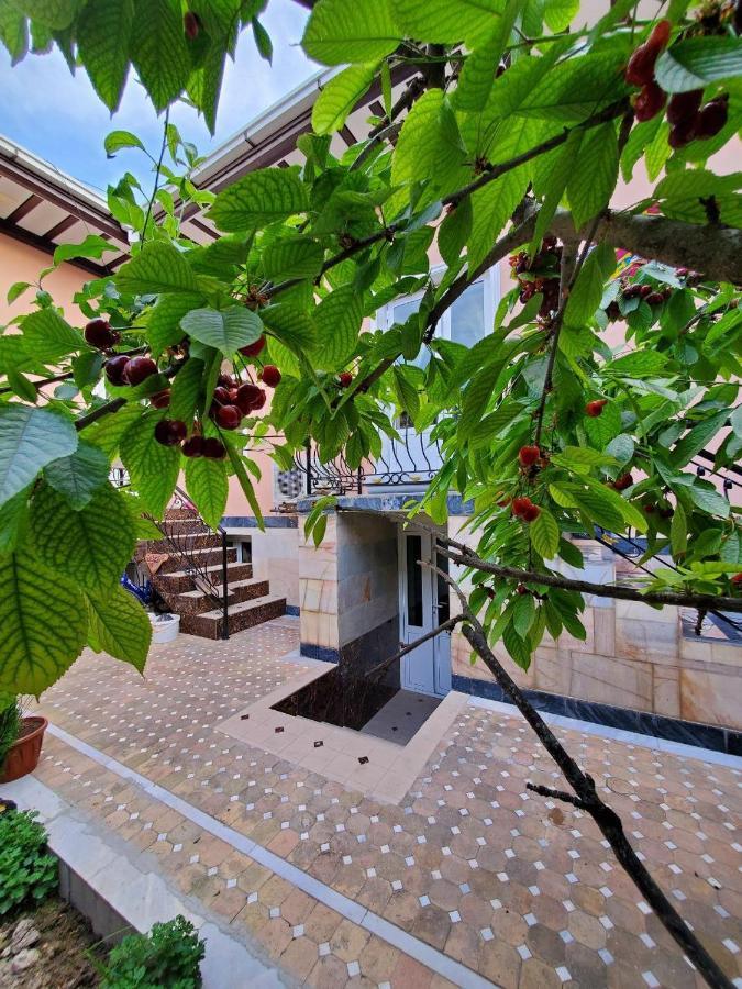 Nursultan Grand Guest House Самарканд Экстерьер фото